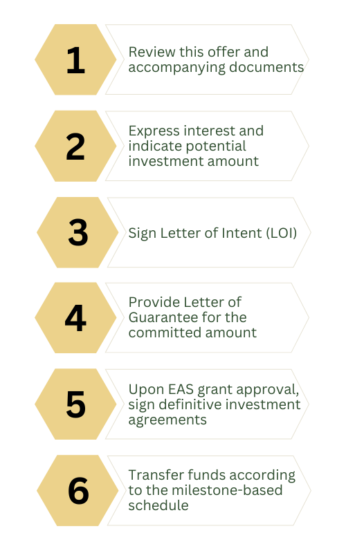 NaturBrick - investment process